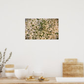 Fluitenkruid, Poster (Keuken)