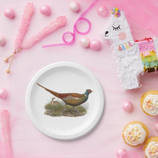 fluitvormingskleur papieren bordje (Feest)