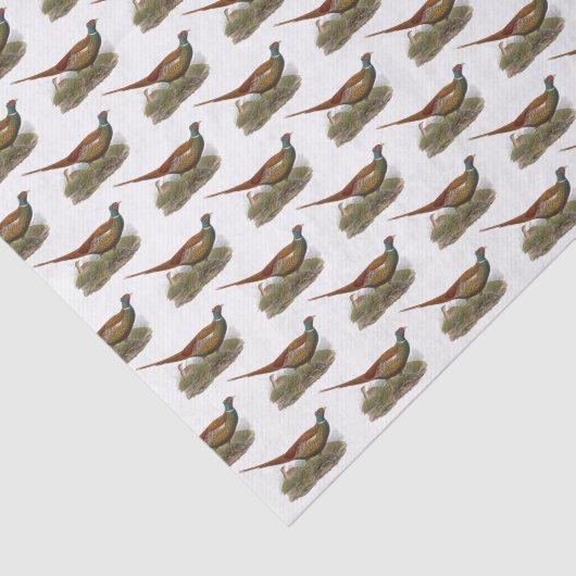  fluitvormingskleur tissuepapier (Detail)