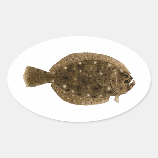 Fluke - Zomerbot Ovale Sticker (Voorkant)