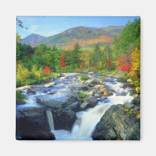 Flume Falls |  Adirondack-gebergte Magneet (Voorkant)
