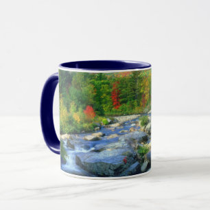 Flume Falls Adirondack-gebergte Mok