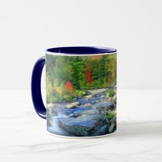 Flume Falls | Adirondack-gebergte Mok (Voorkant links)