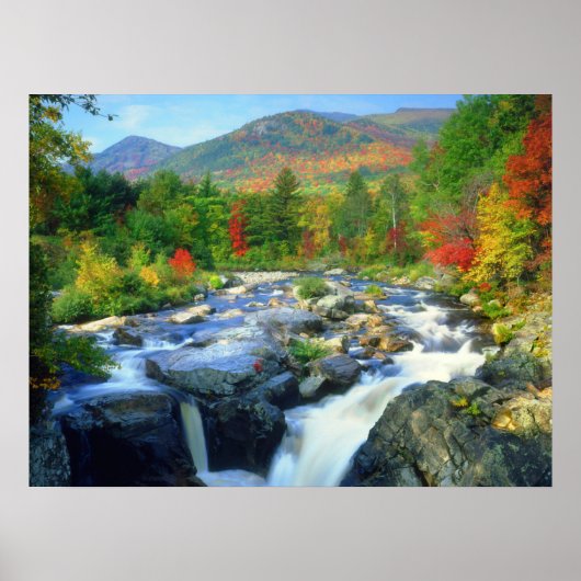 Flume Falls |  Adirondack-gebergte Poster (Voorkant)