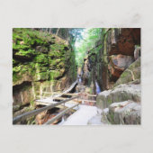 Flume Gorge New Hampshire Briefkaart (Voorkant)