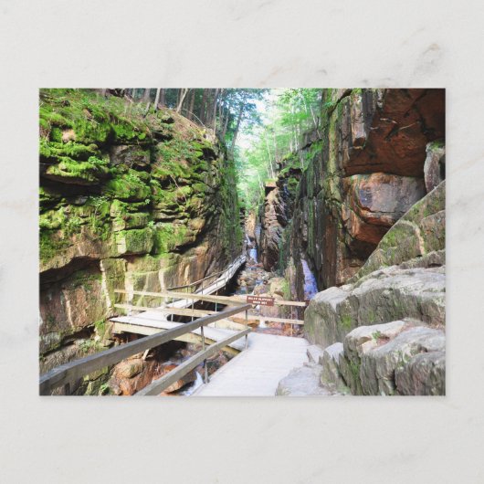 Flume Gorge New Hampshire Briefkaart (Voorkant)