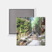 Flume Gorge New Hampshire magneet (Voorkant / Achterkant)