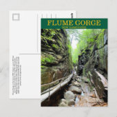 Flume Gorge NH-Briefkaart Briefkaart (Voorkant / Achterkant)