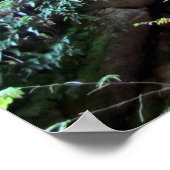 Flume Gorge Poster (Hoek)