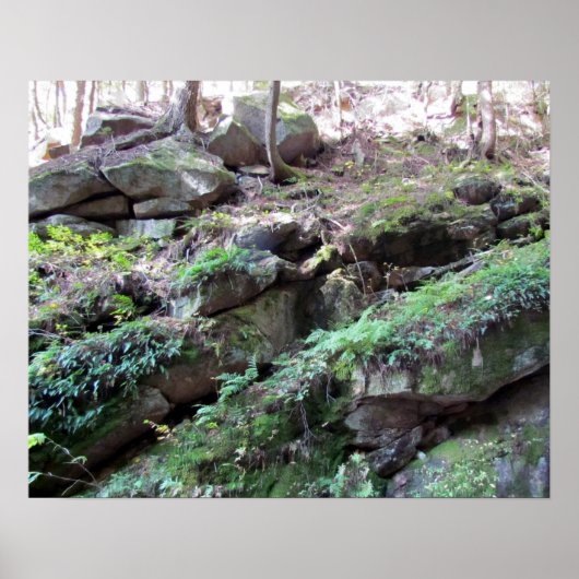 Flume Gorge Poster (Voorkant)