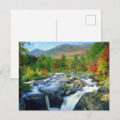 Flume Herfsten | Adirondack Mountains Briefkaart (Voorkant / Achterkant)