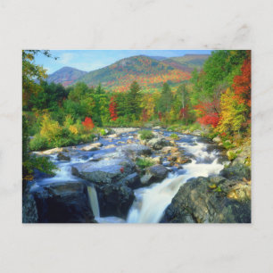 Flume Herfsten   Adirondack Mountains Briefkaart