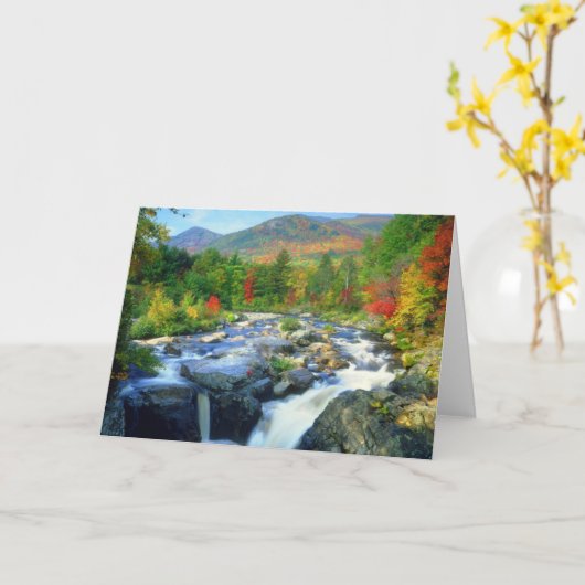 Flume Herfsten | Adirondack Mountains Kaart (Gele Bloem)