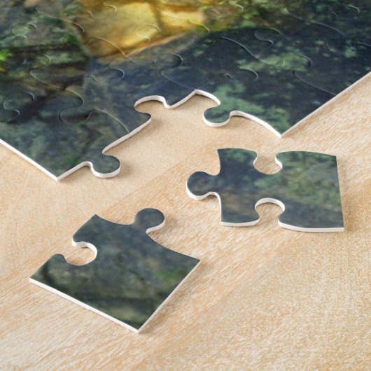 Flume Herfsten | Adirondack Mountains Legpuzzel (Zijkant)