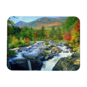 Flume Herfsten Adirondack Mountains Magneet