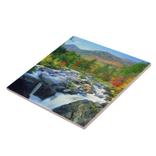 Flume Herfsten | Adirondack Mountains Tegeltje (Zijkant)