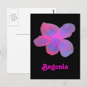 Fluorescent Begonia  Briefkaart (Voorkant / Achterkant)