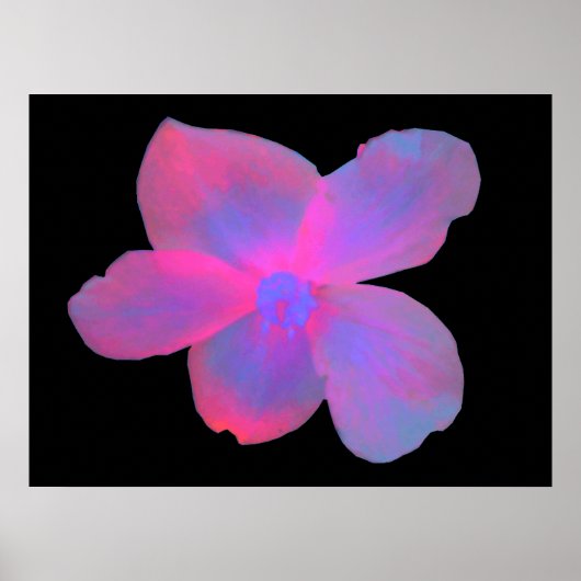 Fluorescent Begonia Flower Print (Voorkant)
