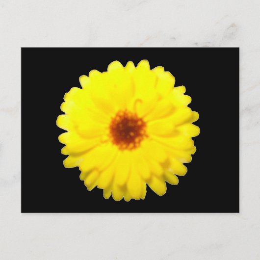 Fluorescent Marigold Briefkaart (Voorkant)