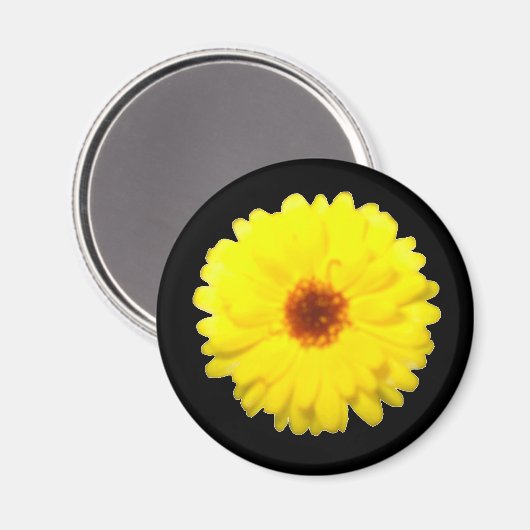 Fluorescent Marigold Magnet (Voorkant / Achterkant)