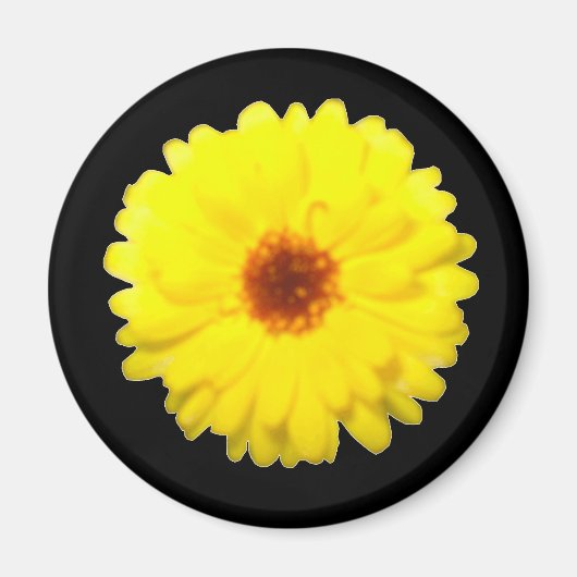 Fluorescent Marigold Magnet (Voorkant)