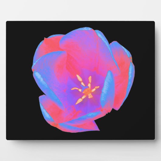 Fluorescent Tulip Plaque Fotoplaat (Voorkant)