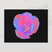 Fluorescent Tulp Briefkaart (Voorkant)