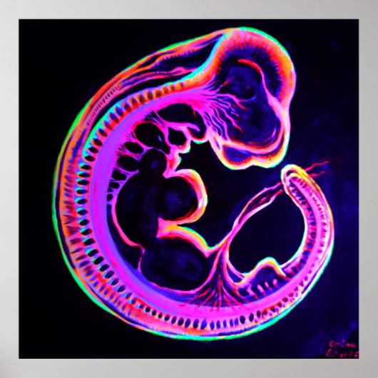 Fluorescente embryo's die in het donker gloeien poster (Voorkant)