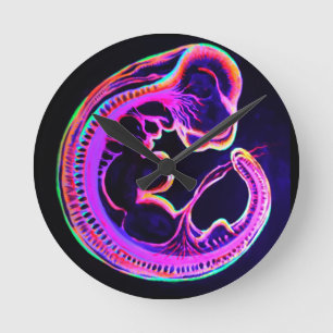 Fluorescente embryo's die in het donker gloeien ronde klok