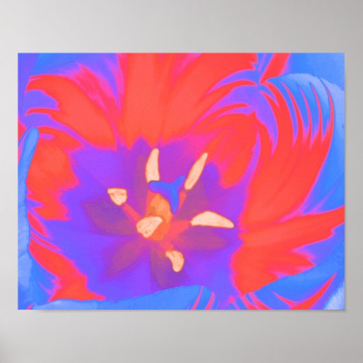 Fluorescente Tulp Poster (Voorkant)