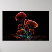 Fluorescentie (2009) poster (Voorkant)