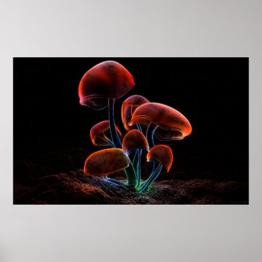 Fluorescentie (2009) poster (Voorkant)