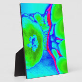 fluorescerend groen fotoplaat (Zijkant)