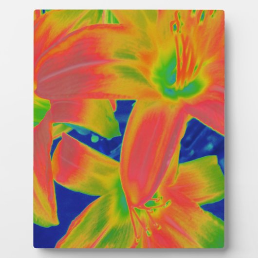 fluorescerende bloemen fotoplaat (Voorkant)