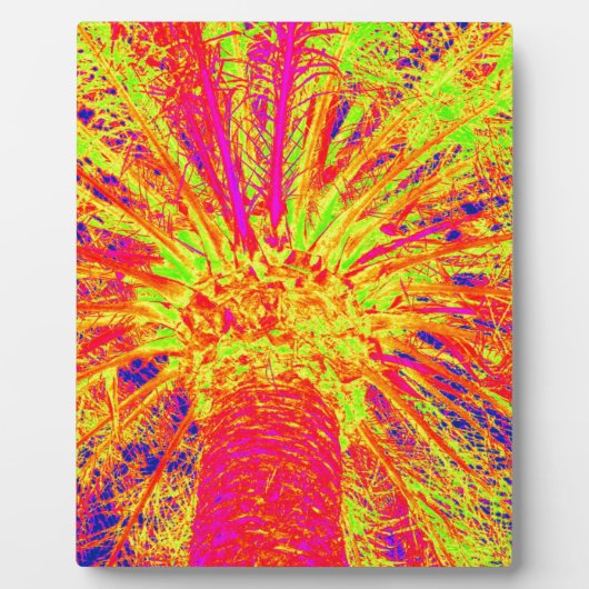 fluorescerende palm fotoplaat (Voorkant)