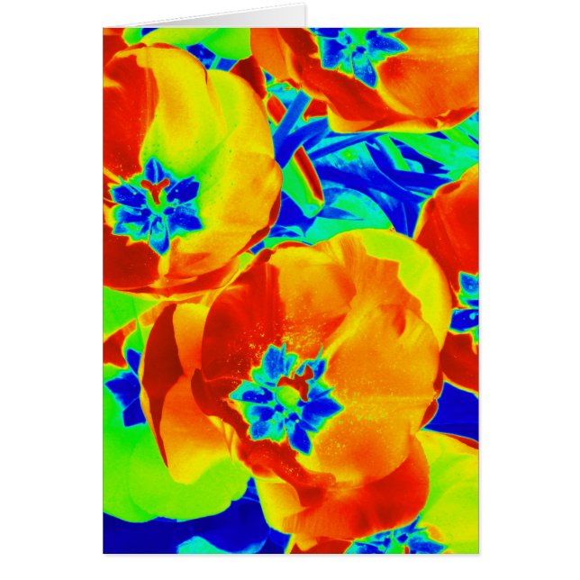 fluorescerende tulpen (Voorkant)