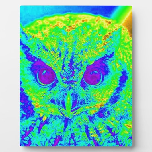 fluorescerende uil fotoplaat (Voorkant)