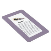 Fluoriet Crystal Edelsteen Betekenis Sieraden Disp Magneet (Rechterzijde)