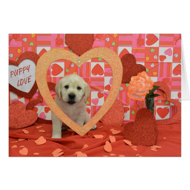 Flurry Week 6 Foto (Voorkant Horizontaal)