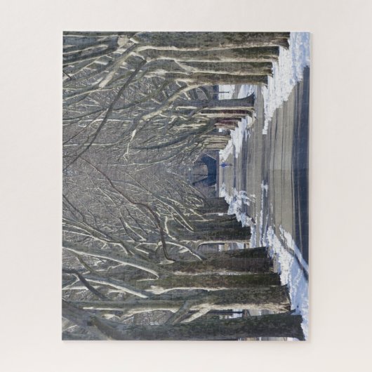 Flushing Meadow Park. kerstcadeautjes Legpuzzel (Verticaal)