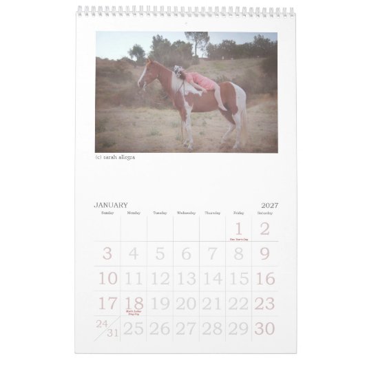 Fluster Magazine 2013 Agenda Kalender (Jan 2027)