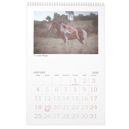 Fluster Magazine 2013 Agenda Kalender (Jan 2026)