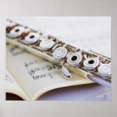 Flute 2 poster (Voorkant)