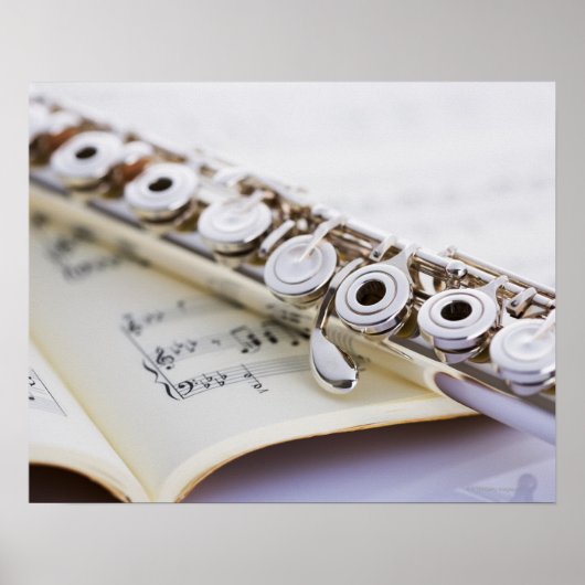 Flute 2 poster (Voorkant)