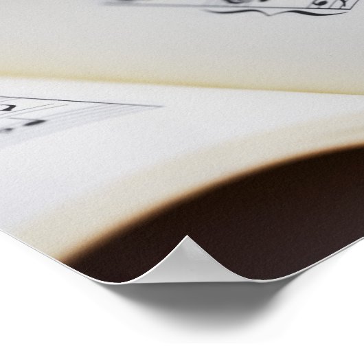 Flute 2 poster (Hoek)