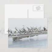 Flute Briefkaart (Voorkant / Achterkant)
