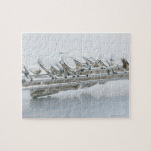 Flute Legpuzzel