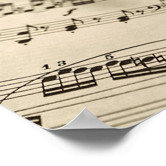 Flute Music Poster (Hoek)