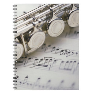 Flute on Sheet Music Notitieboek