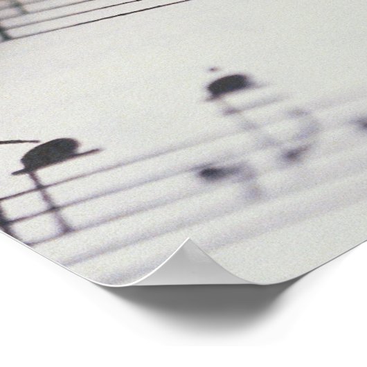 Flute on Sheet Music Poster (Hoek)